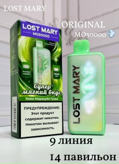 LOST MARY MO